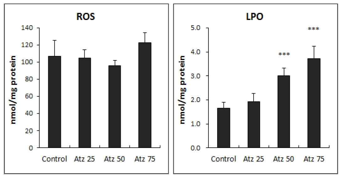 Effect of atrazine treatment on the levels of reactive oxygen species (ROS) generation and lipid peroxidation (LPO) in Lemna paucicostata.