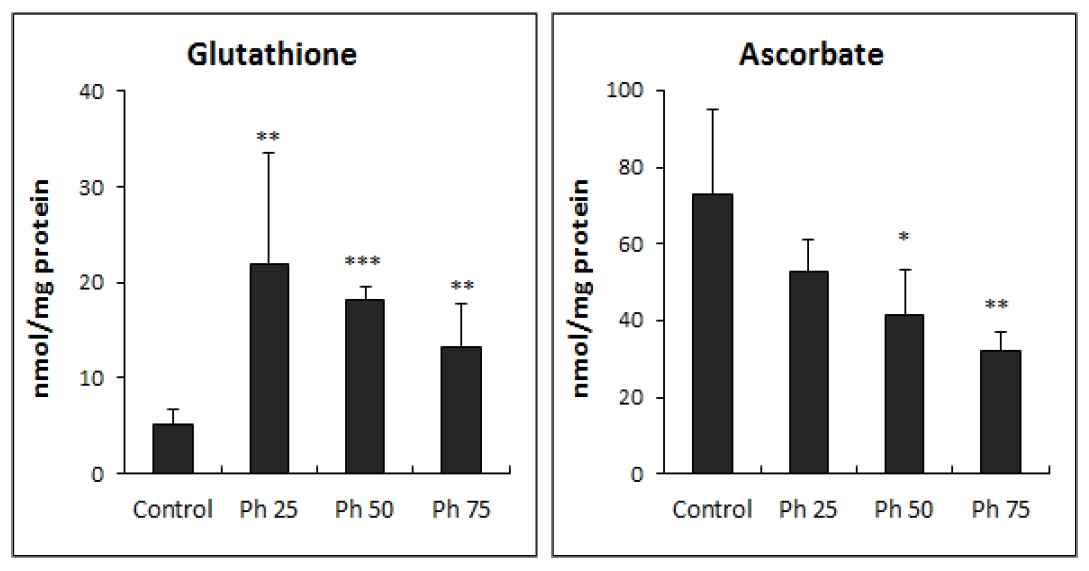 Effect of phenol treatment on the contents of glutathione and ascorbic acid in Lemna paucicostata.