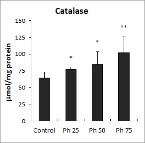 Effect of phenol treatment on the activities of catalase in Lemna paucicostata.