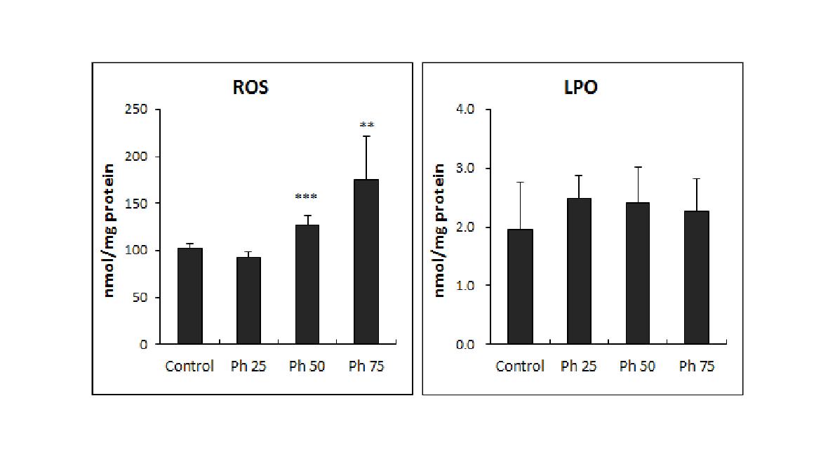 Effect of phenol treatment on the levels of reactive oxygen species (ROS) generation and lipid peroxidation (LPO) in Lemna paucicostata. Results are expressed as means ± SD (n=5).