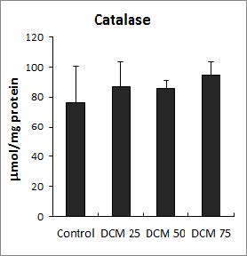 Effect of dichloromethane treatment on the activities of catalase in Lemna paucicostata.