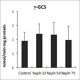 Effect of naphthalene treatment on the activities of γ-glutamylcysteine ligase (γ-GCS) in Lemna paucicostata.