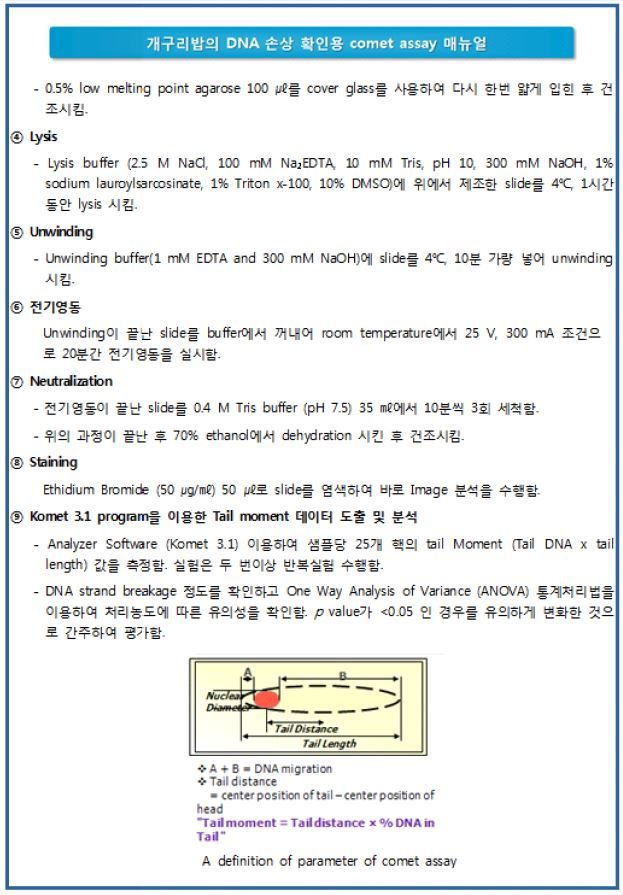 개구리밥 comet assay 방법 표준화 및 매뉴얼화-2