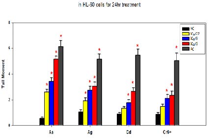 Results of comet assay of 4 heavy metals (arsenic (As), silver (Ag), cadmium (Cd), chromium hexavalent (Cr6+) in HL-60 cell line for 24h treatment.