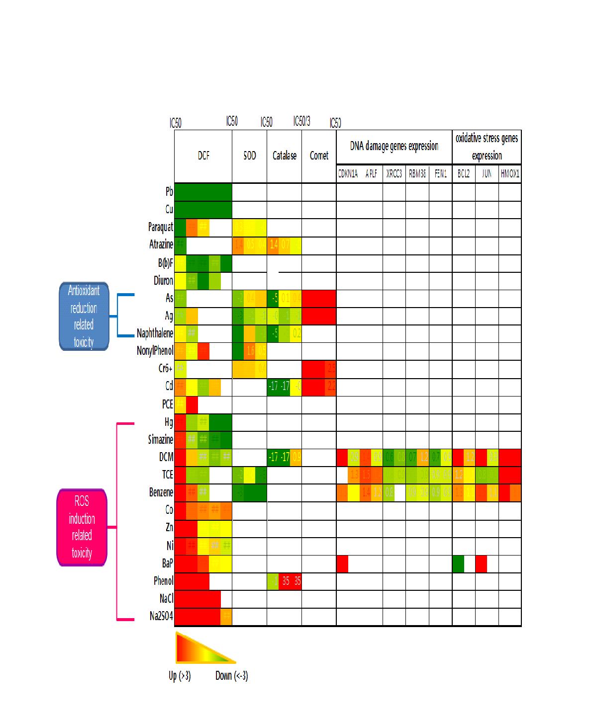 Overall clustering of biochemical and cell based markers related to oxidative stress.