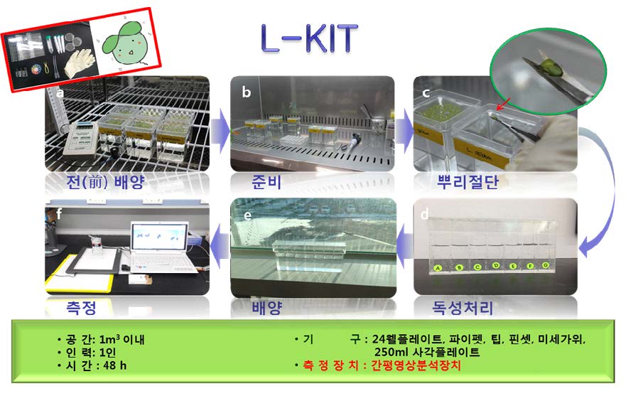 좀개구리밥을 이용한 교육용 생태독성 키트 시험 과정