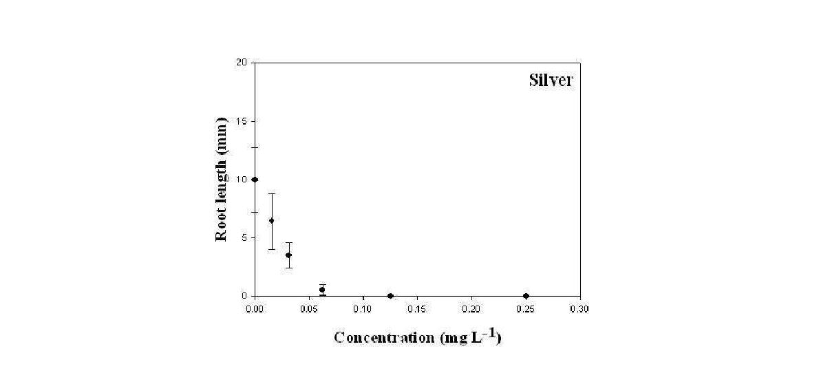 은 (Ag, silver) 농도 구배에 따른 잠아 뿌리길이 변화