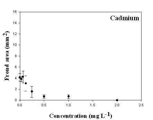 카드뮴 (Cd, cadmium) 농도 구배에 따른 잠아발아엽체면적 변화