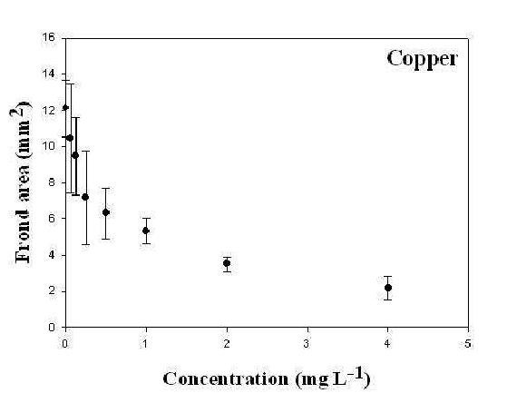 구리 (Cu, copper) 농도 구배에 따른 잠아발아엽체면적 변화