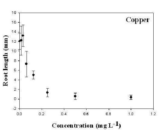 구리 (Cu, copper) 농도 구배에 따른 잠아발아엽체면적 변화