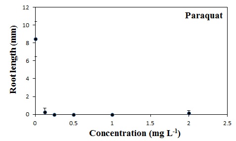 Paraquat에 대한 잠아발아엽체의 뿌리길이 반응