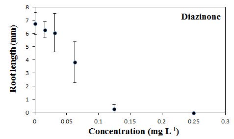 Diazinone에 대한 잠아발아엽체의 뿌리길이 반응