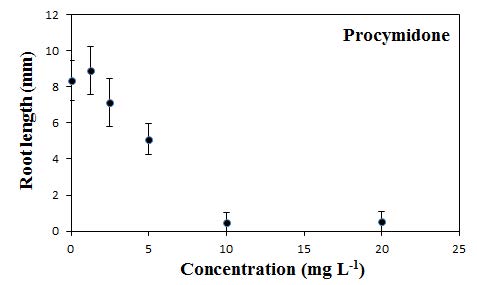 Procymidone에 대한 잠아발아엽체의 뿌리길이 반응