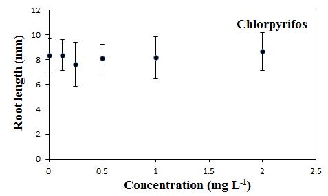 Chlorpyrifos에 대한 잠아발아엽체의 뿌리길이 반응