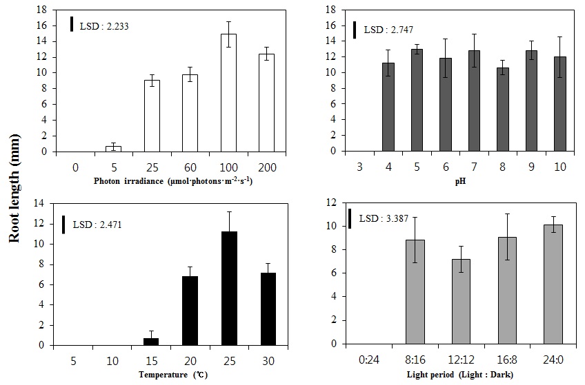 Spirodela polyrhiza의 광량, pH, 온도 및 광주기별 뿌리길이 최적 생장 조건