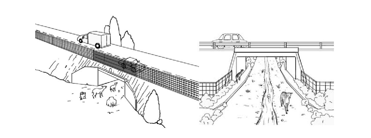 물이 흐르는 않는 경우와 흐르는 경우 포유류 터널용 생태 통로(환경부 2010)