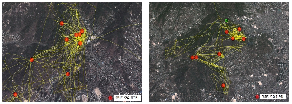 구기동개체와 여래사 개체의 주요 잠자리