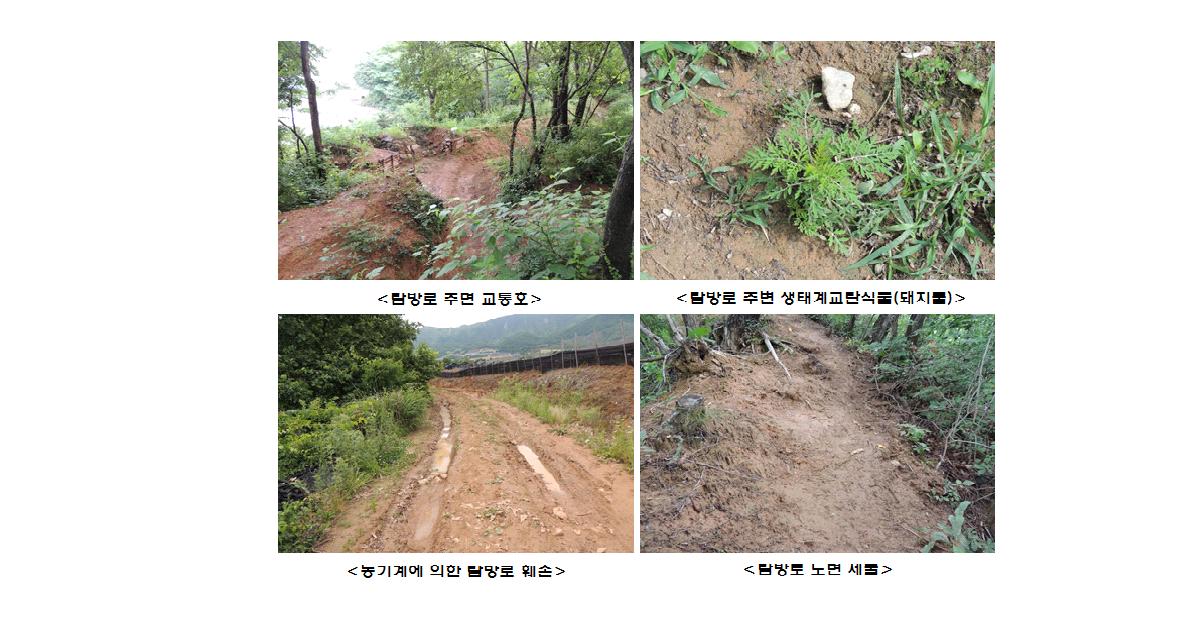 양구 DMZ 펀치볼 둘레길 “평화의 숲길”의 주요 위협요인