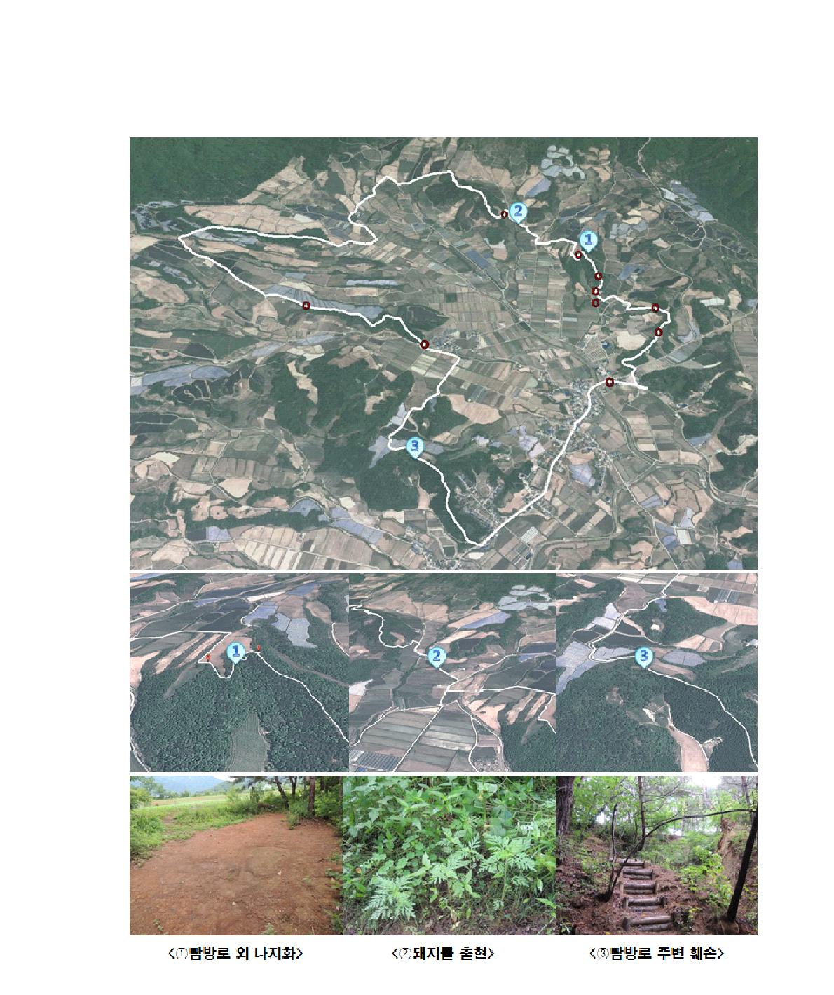 양구 DMZ 펀치볼 둘레길 “평화의 숲길” 주요 생태적 취약 지점