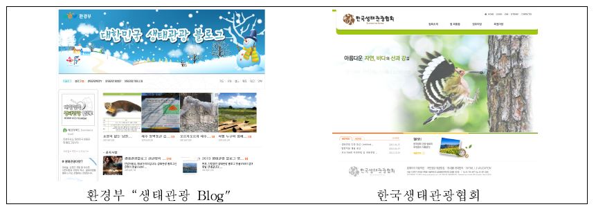 국내 생태관광 Web Site