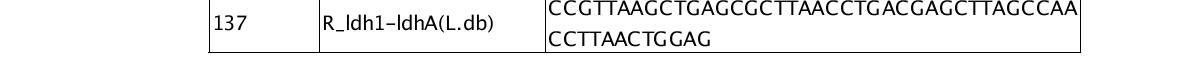 Lb.paracasei ldh1 결손 벡터 제작을 위한 PCR list