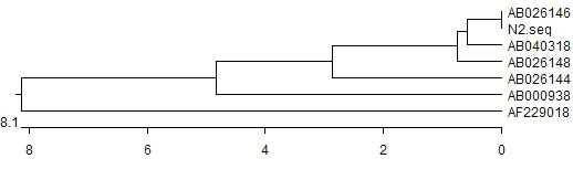 오이 흰가루병원균에 대한 phylogenetic tree