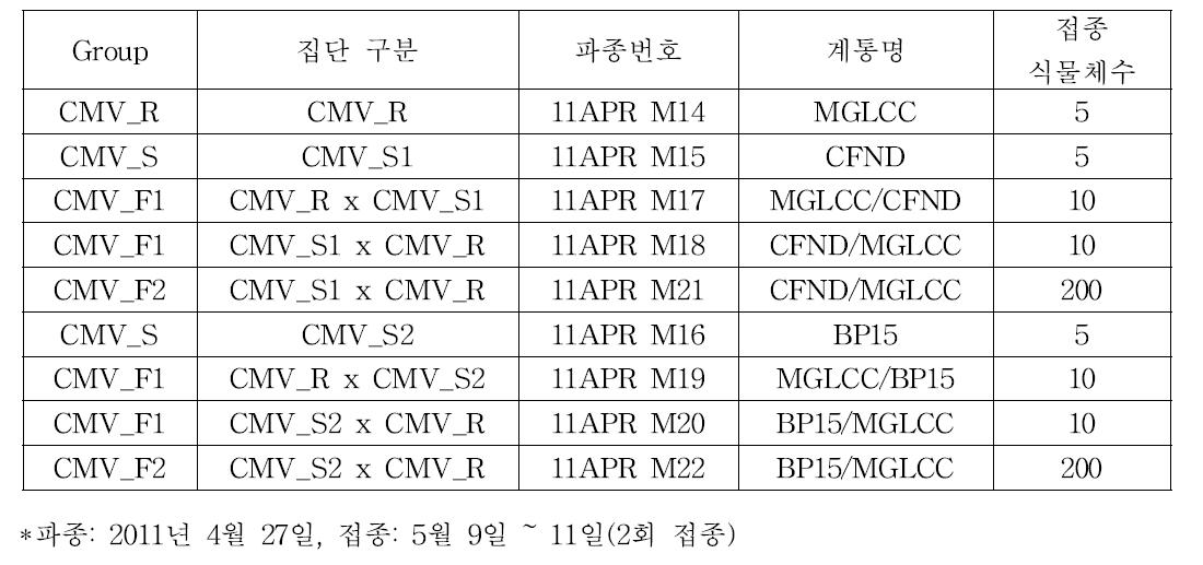 오이 집단별 CMV 접종규모