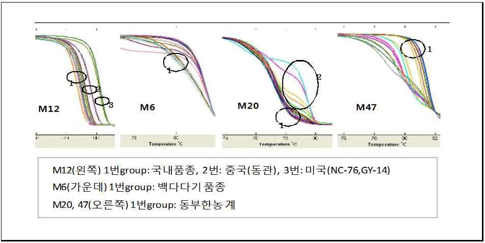 품종 간의 특징을 구분 짓는 marker들