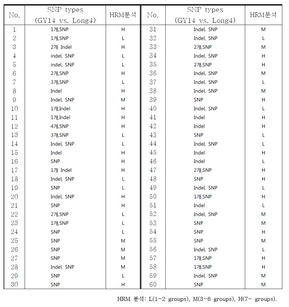 오이 16품종 SNP　marker HRM 결과