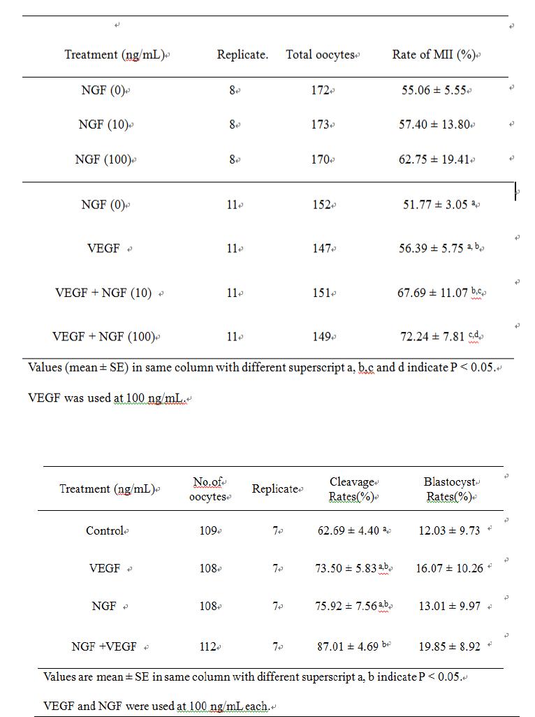 VEGF와 NGF을 이용한 체외 성숙 및 배양에 대한 결과