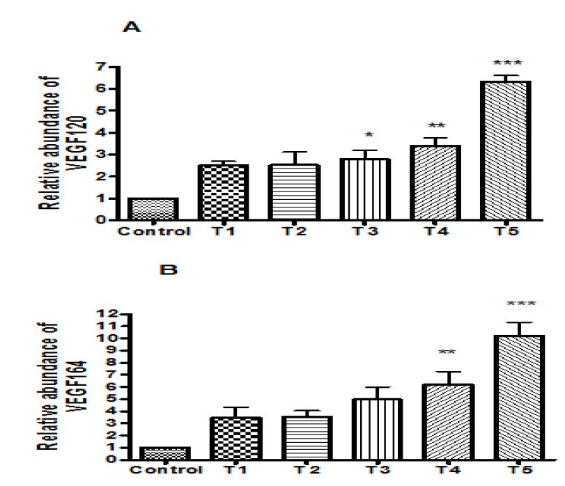 Effect of VEGF (100 ng/mL), NGF (0, 10, 100, 200 ng/mL) and their combinations on mRNA expression of VEGF120