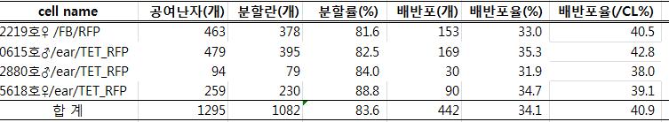 RFP on/off에 따른 배반포 발육률