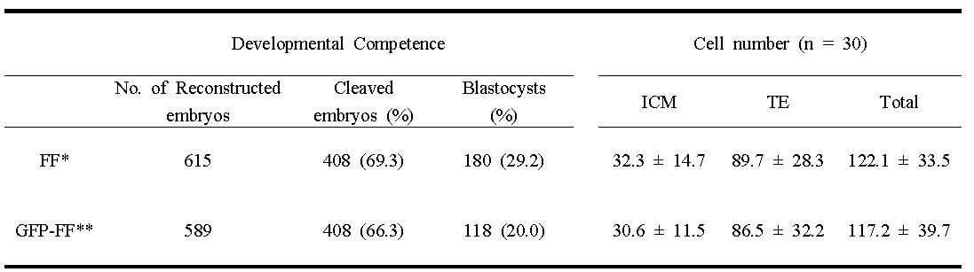 *FF: fetal fibroblast, **GFP-FF: green fluorescent protein-fetal fibroblast