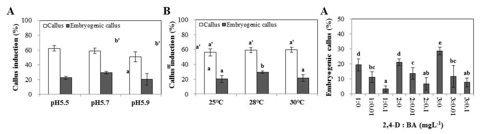 Effects of pH, temperature, and combinations of 2,4-D and BA on callus induction or embryogenic callus induction. (A) pH 효과 조사 결과. (B) 온도 효과 조사 결과. (C) 2,4-D와 BA 조합 (2,4-D : BA = 1~3: 0~0.1 mg/L) 효과 조사 결과.