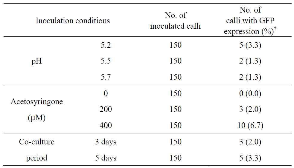 Optimization of conditions for Agrobacterium inoculation and co-cultivation †The percentage was calculated using the number of transformed calli with GFP signal from all infected calli.