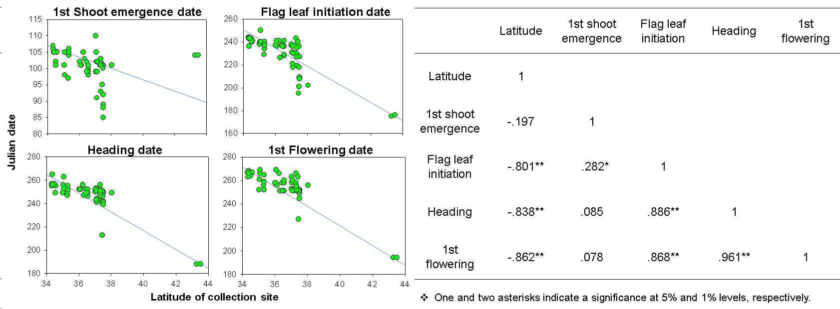 수집된 물억새의 위도별 개화특성(左) 및 각 개화특성간의 상관분석(右)