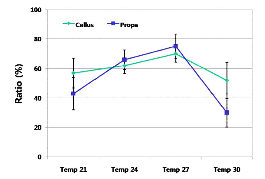 배양온도가 유채 callus 형성 및 생장에 미치는 효과. Callus 형성 및 생장과 온도는 24°C와 27°C에서 의미 있는 유의차는 없었으나 27°C에서 다소 높게 나타났음