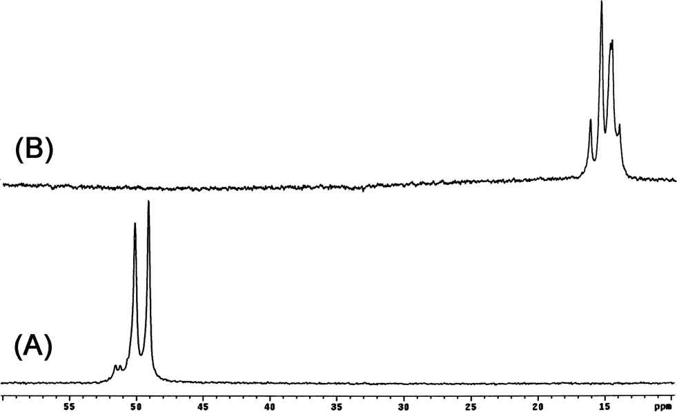 그림 3.11. The 31P NMR spectra of PPCs prepared by the feedingof Ph2P(O)OH (A) and PhP(O)(OH)2 (B)