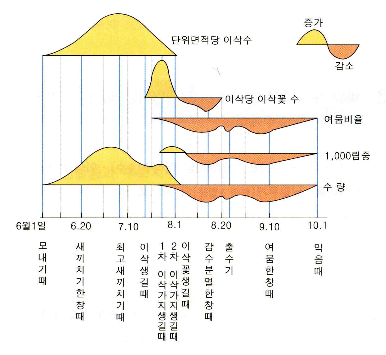 그림 3-1. 벼의 수량구성 4요소와 수량의 성립과정