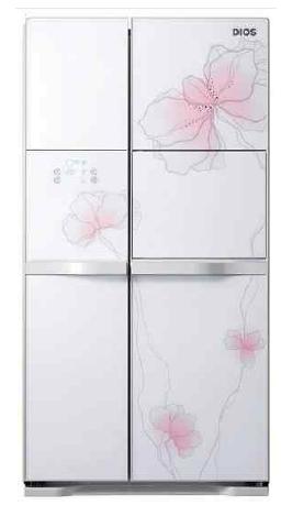 LG 디오스 냉장고