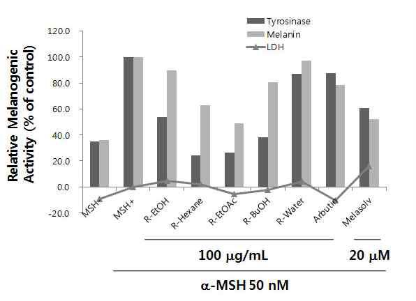 백합뿌리 분획물의 멜라닌생성 tyrosinae 활성 억제 효과