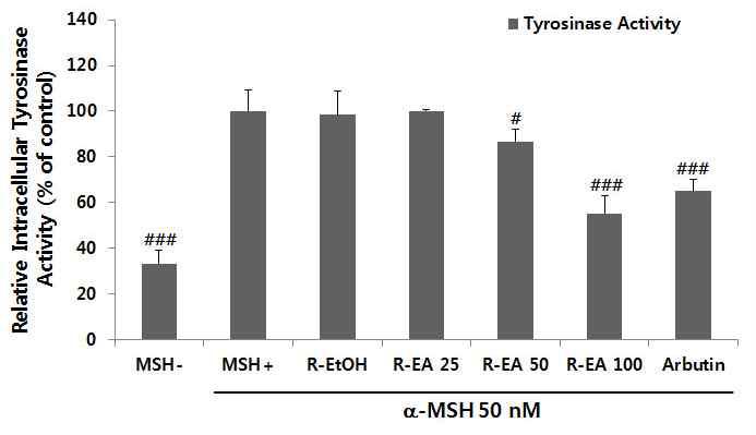 백합뿌리 에틸아세테이트 분획물의 농도별 intracellular tyrosinase 억제활성 억제 효과