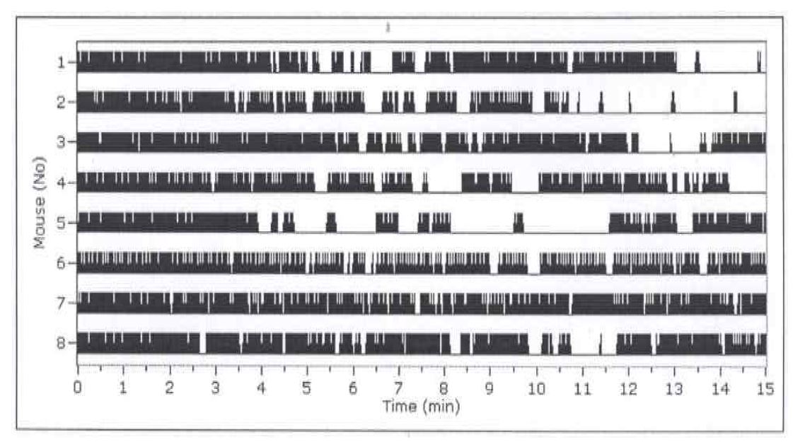 그림 3.27 시험 2의 실험용 쥐 행동그래프