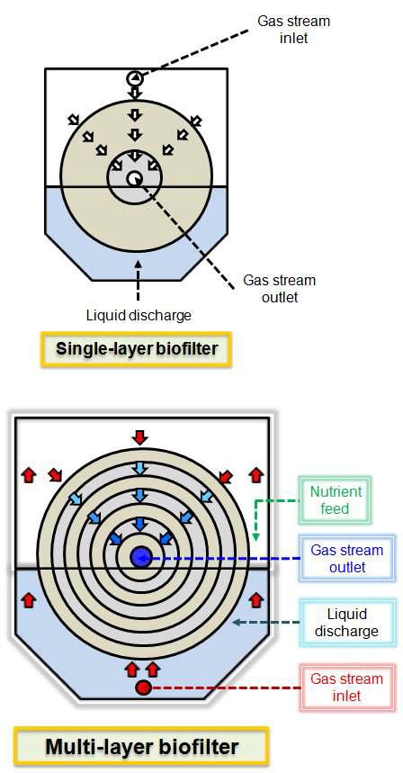 Cross-sectional views of the media in the biofilters