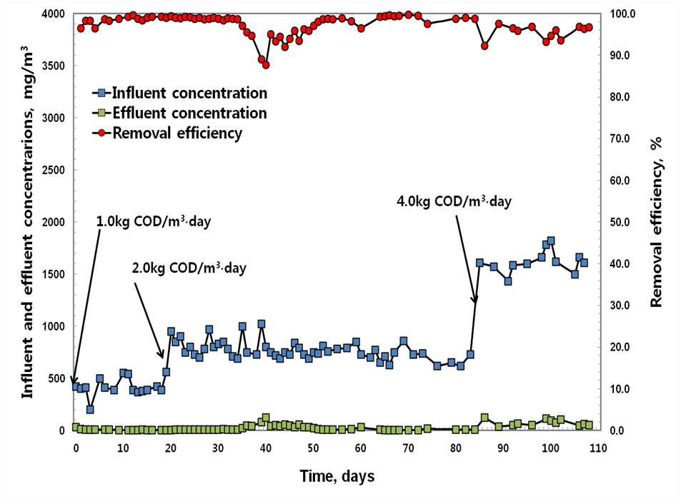 Performance of the single-layer biofilter at various organic loading rates