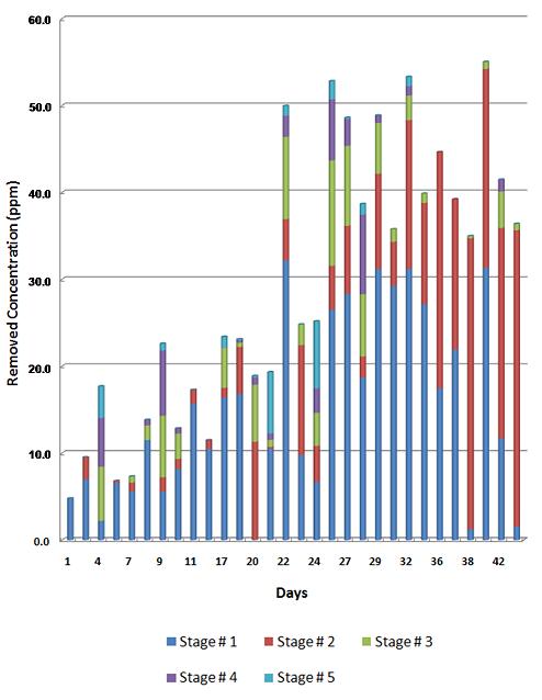 Removed MEK concentration(ppm) at each stage