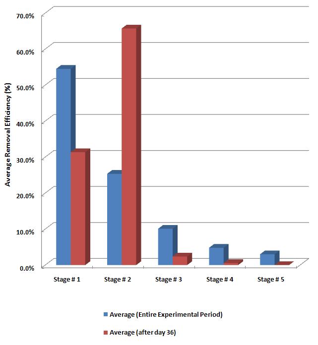 Average removal efficiency(%) at each stage