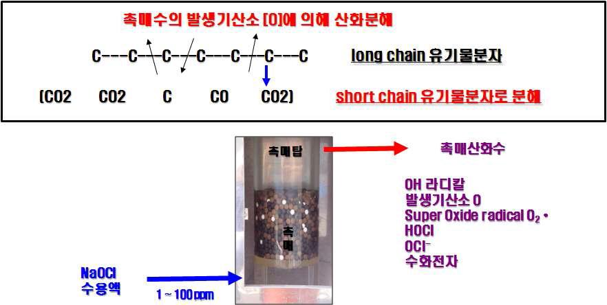 촉매산화수에 의한 유기물질의 분해 매카니즘