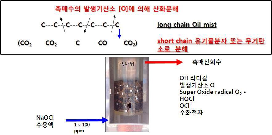 촉매산화수에 의한 유기오염물질의 분해 메카니즘