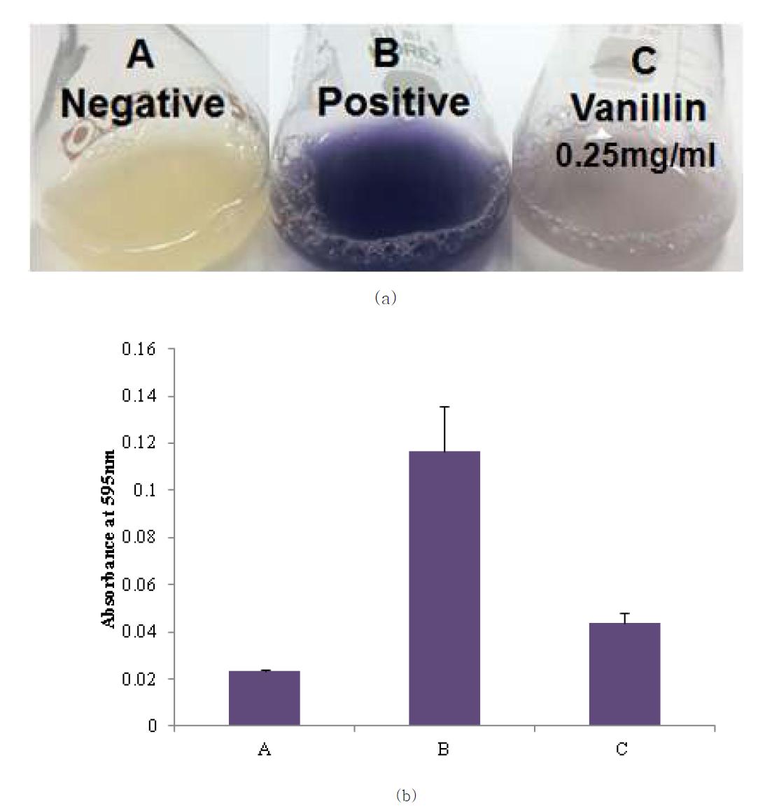 CV026을 이용한 Vanillin의 정족수 감지 억제효과 확인 (a) 단순 색 변화 확인, (b) Violacein 측정 결과(3회 반복 실험)